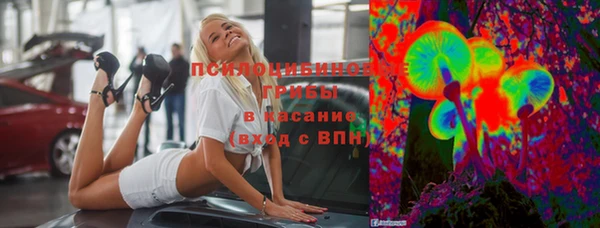 a pvp Алзамай