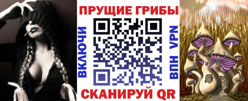 Псилоцибиновые грибы прущие грибы Купить где Кандалакша
