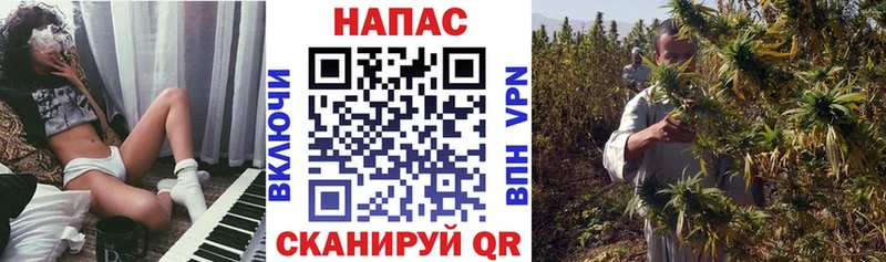 Бошки Шишки конопля  Купить закладки  Кандалакша 